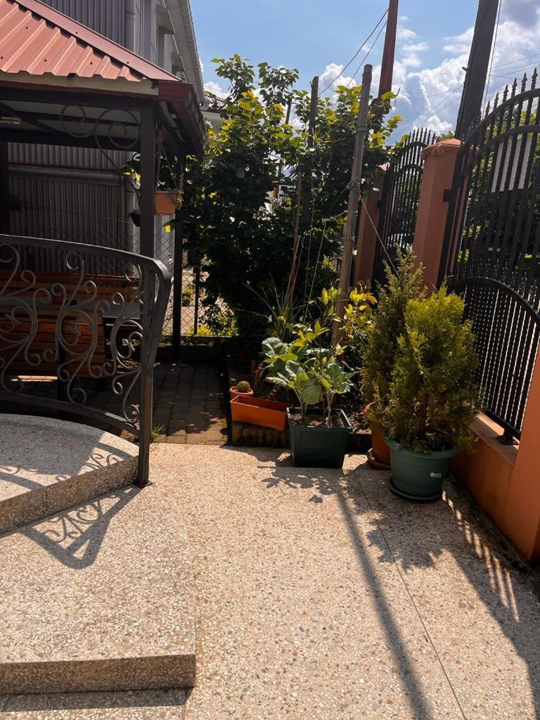 Kobuleti Guest House Chexov 24 Luaran gambar